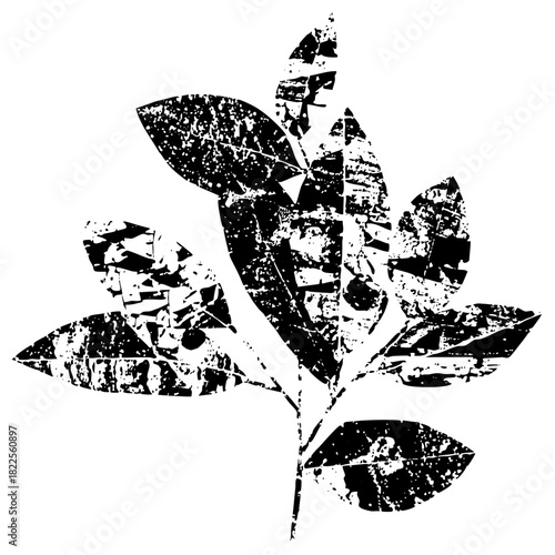 Plant illustration distressed texture in botanical study