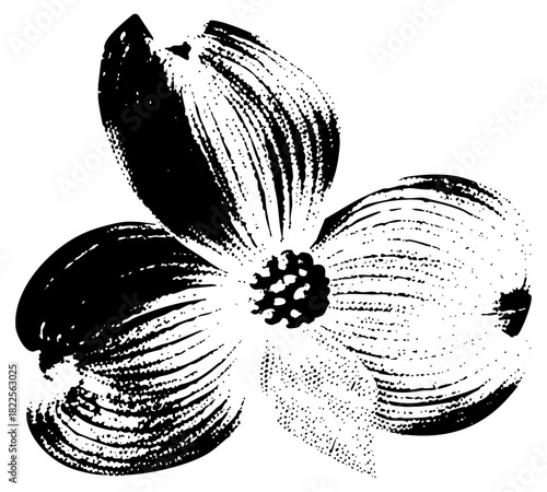 Dogwood Blossom Illustrates Springtime Beauty in Design