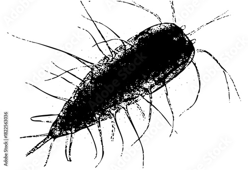 Microorganism Illustrates Biology in Scientific Research