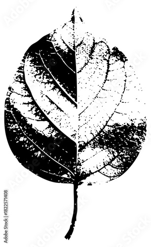 Leaf illustrates duality with halftone texture for autumn design