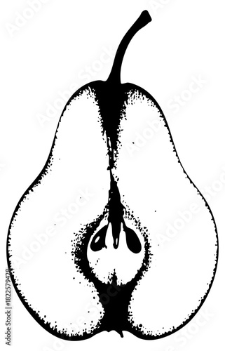 Pear section reveals seeds in illustration