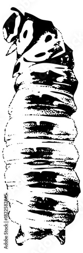 Gyros Stacked High with Texture