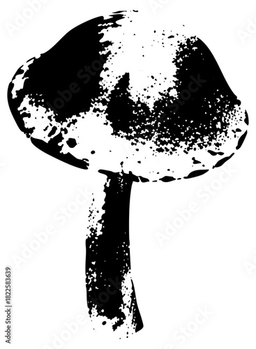 Mushroom Illustrates Texture in a Forest