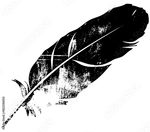 Feather floats elegantly in simplicity