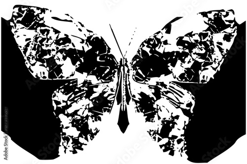 Butterfly texture in illustration