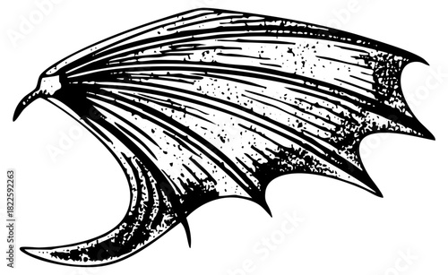 Dragon wing gothic detail in a illustration