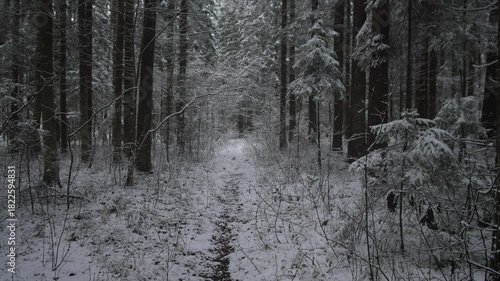 Fresh snow in the winter forest 4k background