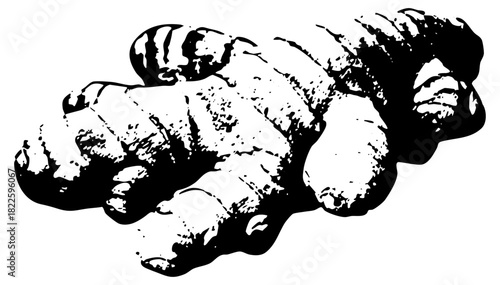 Ginger Root Illustrates Organic Texture in Culinary Design