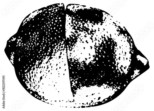 Lemon slice texture in still life