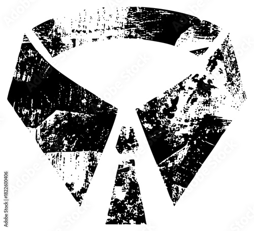 Skull Illustration Grunge Texture in Graphic Design