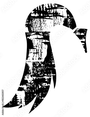 Toucan plumage in illustration