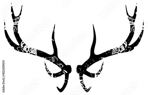 Deer antlers display texture in wildlife illustration