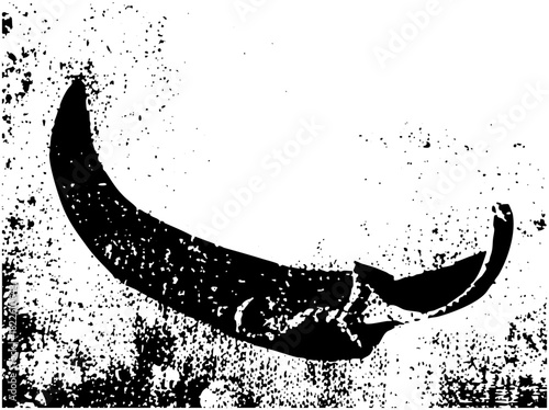 Chili Pepper Illustrates Spice in Culinary Design