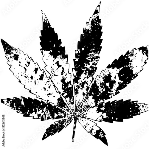 leaf texture in a botanical illustration