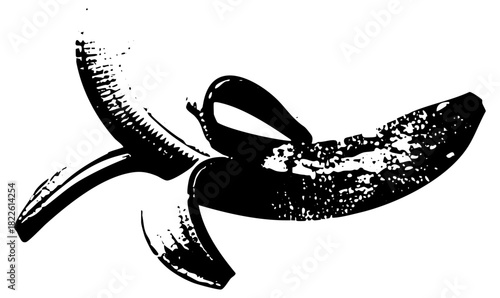 Illustration Freshness in Still Life