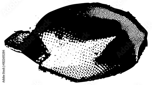 Sleeping Cat rests in halftone