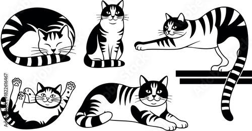 Black and white striped cat poses vector illustration