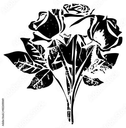 Roses bloom elegantly in botanical illustration