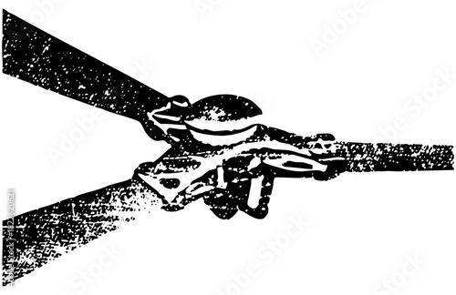 Frog clings to branch in illustration