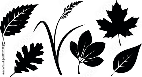 Black silhouette set of various tree leaves and grass vector illustration