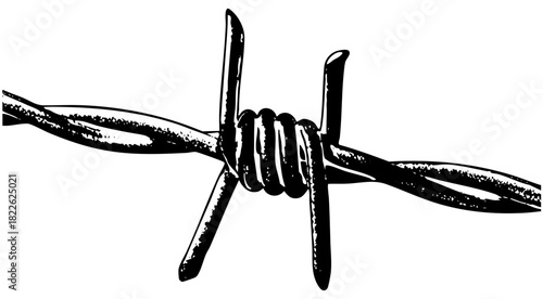 Barbed Wire Secures Boundaries in Rural Landscape