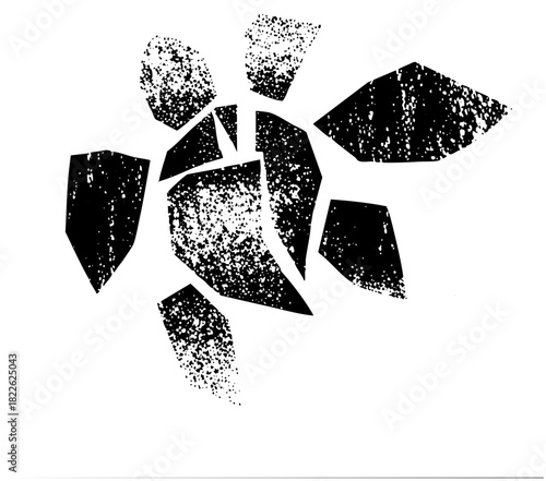 Turtle Illustrates Texture in Abstract Composition