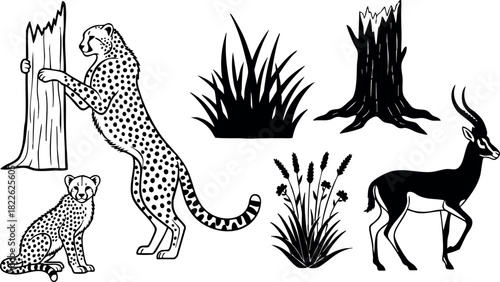 Wild african animals and nature silhouettes vector illustration