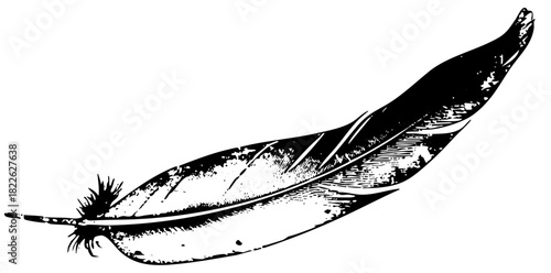 Feather floats elegantly in simplicity