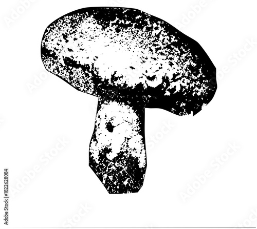 Mushroom illustrates texture for botanical studies