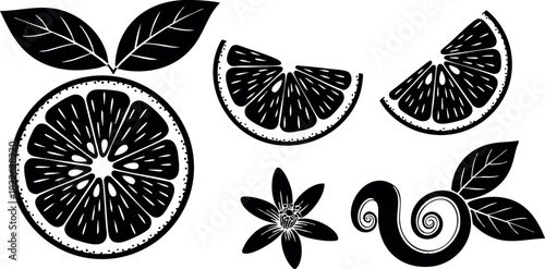 Black and white vector illustration of citrus slices star anise and cinnamon