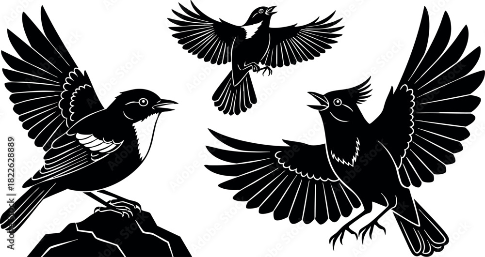 Obraz premium Black silhouette birds flying and perched on rock vector illustration