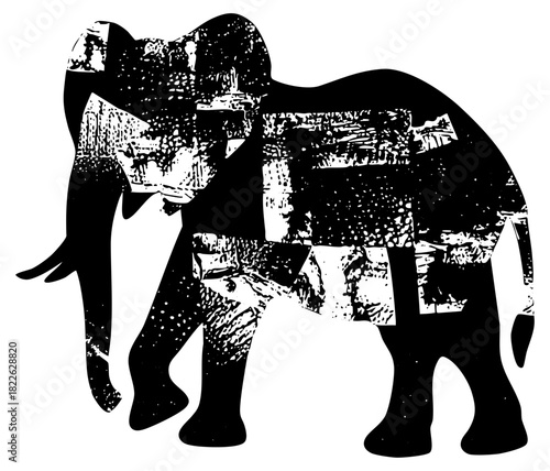 Elephants Interact in