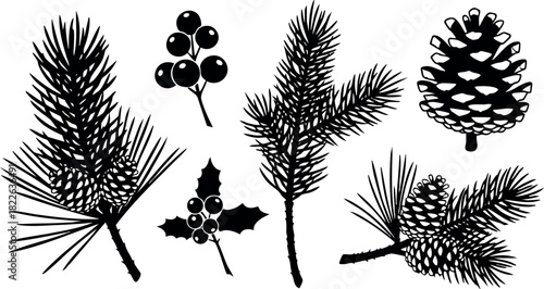 Black silhouette pine branches cones and berries vector illustration