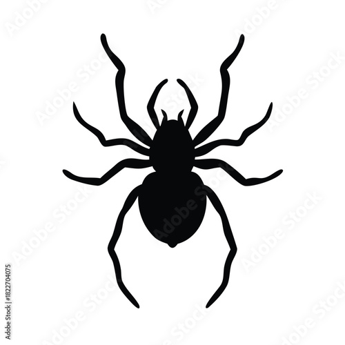 Simple black silhouette graphic design of a large arachnid spider viewed from directly above isolated on white