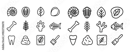 Hand-drawn fossils and nature icons: shells, leaves, bones, and fish line art collection
