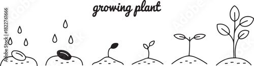 Growing plant phases from seed to sprout process illustration isolated on transparent