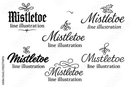 Mistletoe Calligraphy Styles. Mistletoe line illustration. Create a calligraphy lettering illustration of the