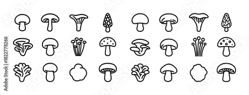 Variety of mushrooms: outline icons of different mushroom shapes