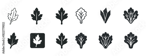 Assorted leaf icon set in black and white design