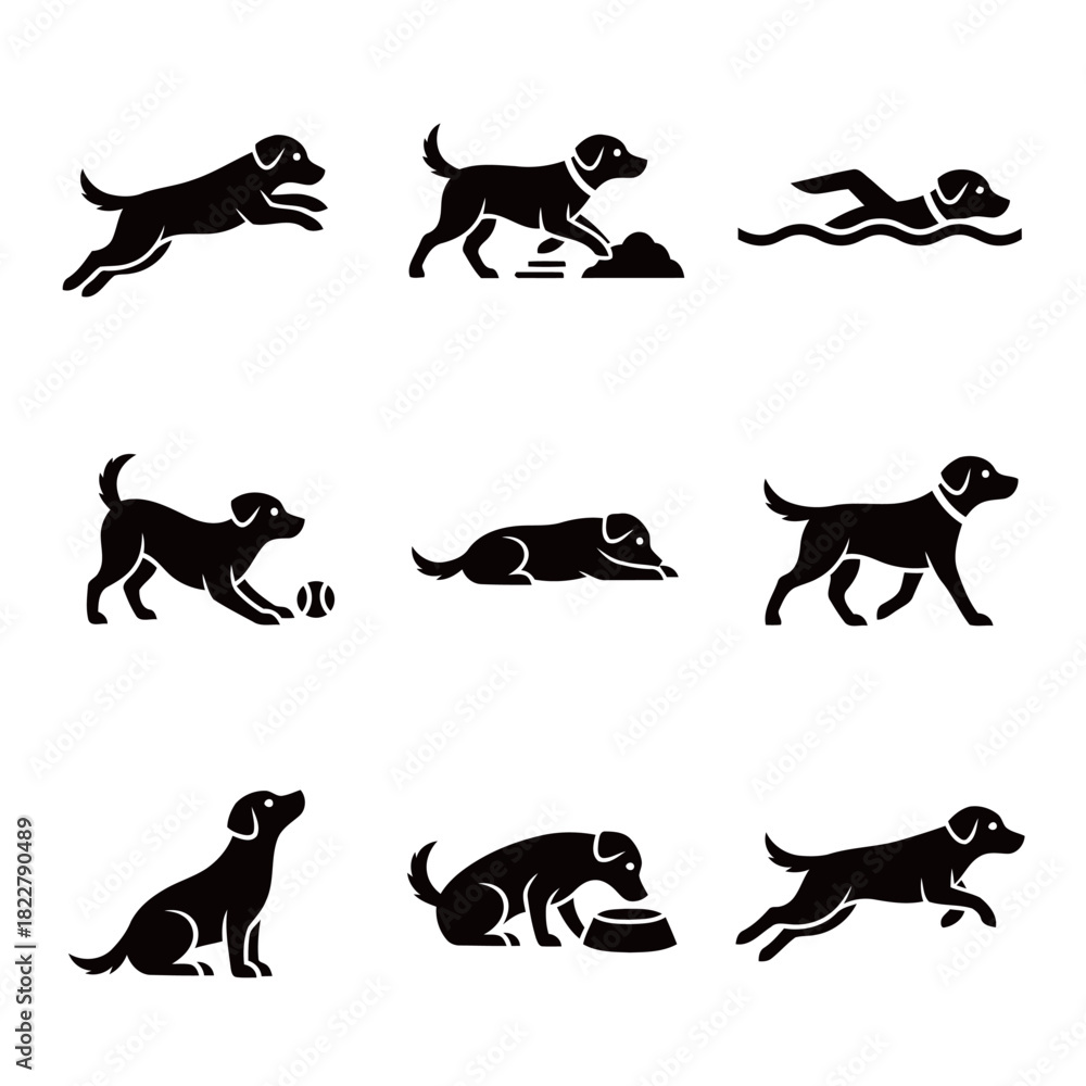 Fototapeta premium Set of Dog Activity Silhouettes Including Jumping, Swimming, and Playing with Ball