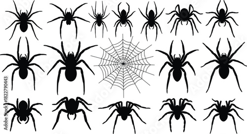 Black Spider Silhouettes Vector Set with Detailed Cobweb, Collection of Scary Arachnids for Halloween Decoration, Horror Graphic Design, Nature Illustrations, and Insect-Themed Projects