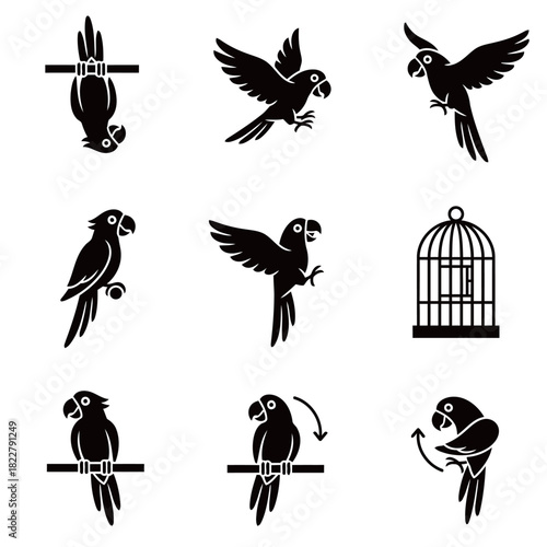 Macaw Parrot Icons Set: Flying, Perching, and Bird Cage Silhouette Collection
