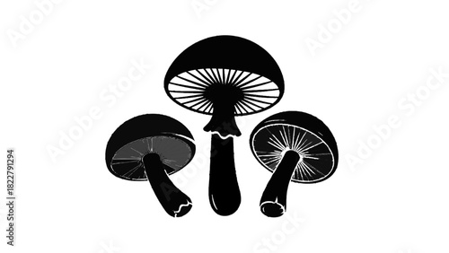 Vector illustration of black and white silhouette illustration of three mushrooms showing gills, isolated on transparent background