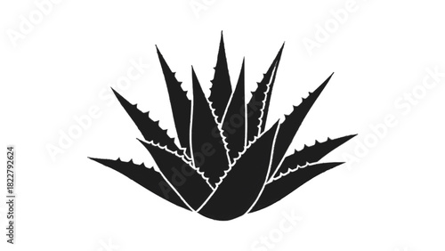 Vector illustration of black silhouette icon of an aloe vera plant with spiky succulent leaves isolated on transparent background