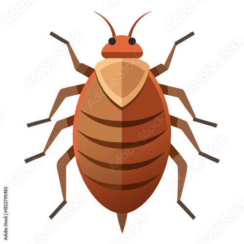 Flat Illustration of a Brown Bed Bug with a Shield- Shaped Pronotum Keywords: bed bug, insect, pest, parasite, bug, arthropod, creepy-crawly