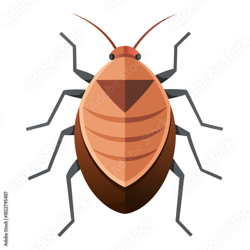 Flat Illustration of a Brown Bed Bug with a Triangular Mark on its Back Keywords: bed bug, insect, pest, parasite, bug, arthropod, creepy-crawly
