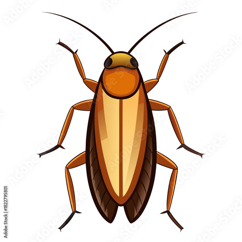 Orange and Yellow Cockroach Insect Illustration on White Background pest creepy crawly