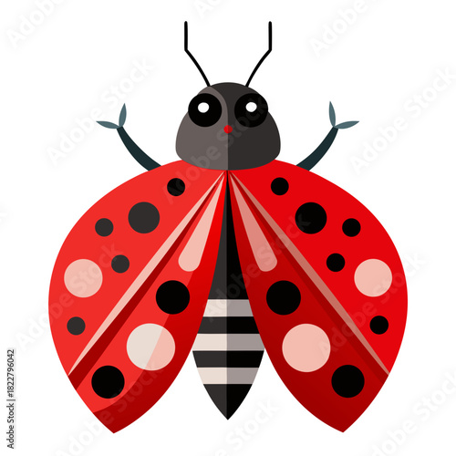 Stylized ladybug with striped abdomen and open wings on white background insect beetle