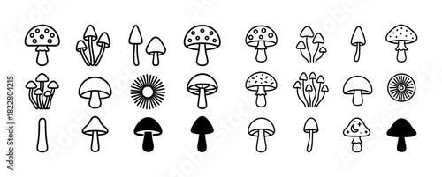 Various black and white mushroom illustrations