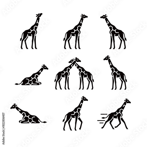 Giraffe Black and White Silhouette Icon Set Showing Tall Stance and Interaction